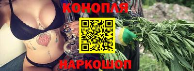 крисы Кимры