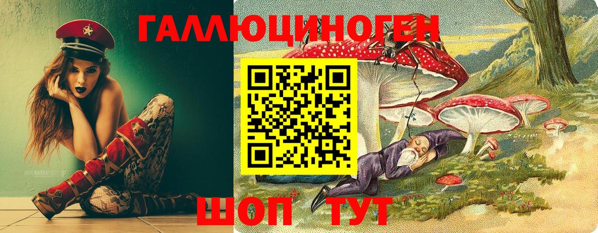 Псилоцибиновые грибы мухоморы Сланцы