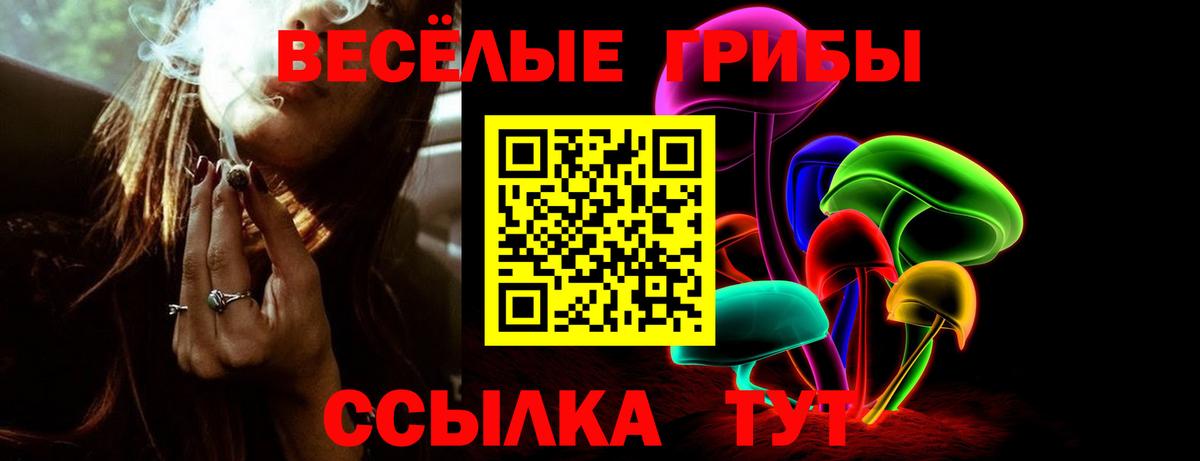 Псилоцибиновые грибы GOLDEN TEACHER  Галлюциногенные грибы Psilocybine cubensis  Вход с VPN  Сланцы 